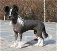 8 months