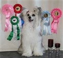 23.07.11 BOS and CAC, 24.07.11: 2 best female with res. CAC