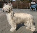 9 months