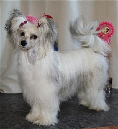 Reeba 13 months